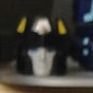 Head.jpg