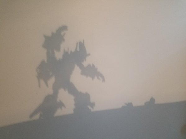 20181118_121137.jpg