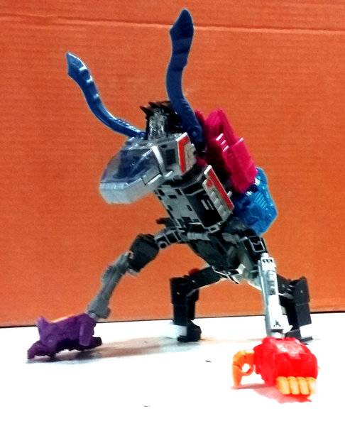 b.jpg