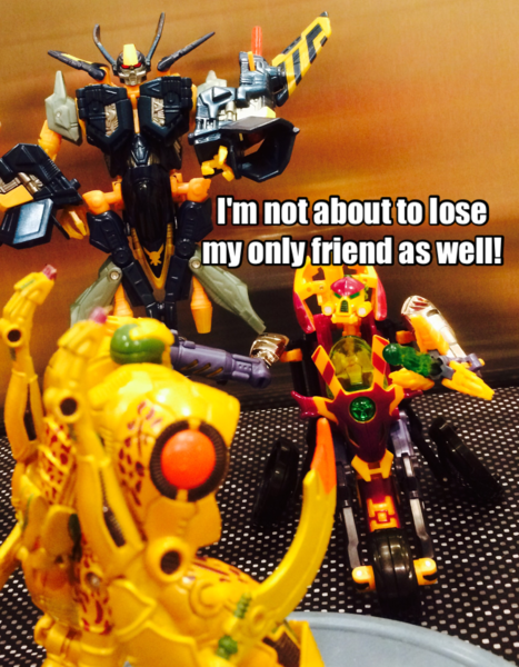 IMG_8275.PNG