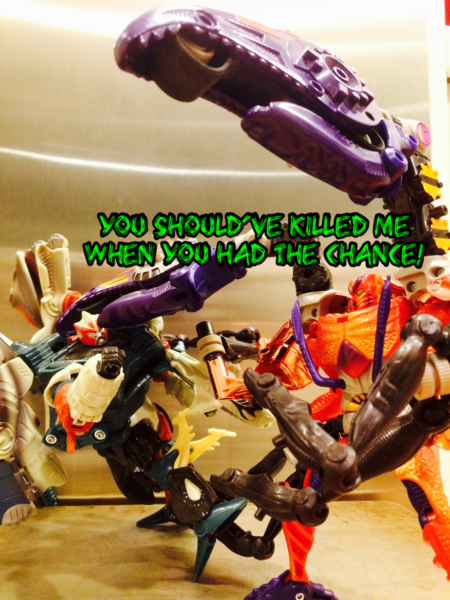 IMG_7743.PNG