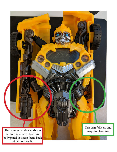bumblebee problem.jpg