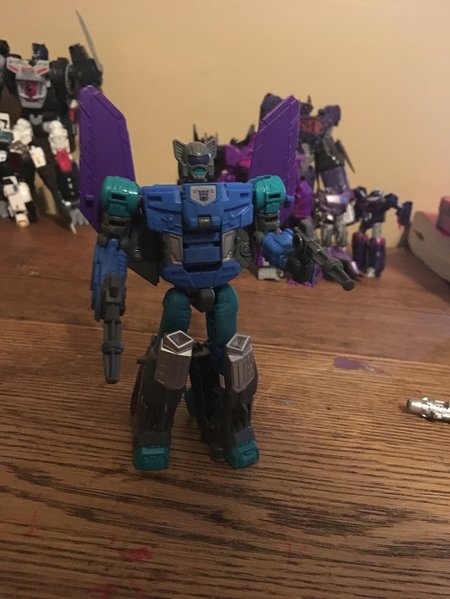Darkwing.jpg