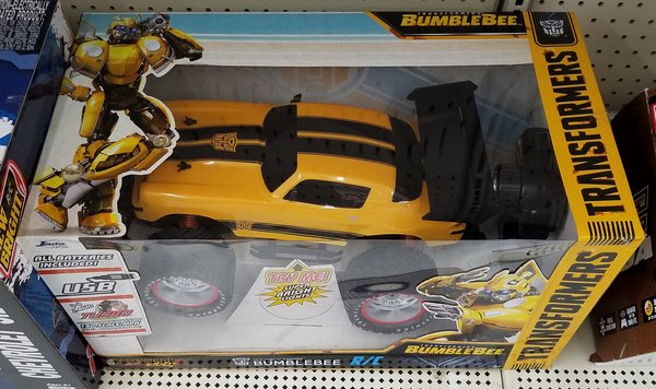 bumblebee_rc-2.jpg