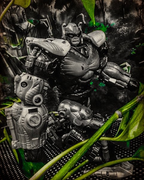 1F91C343-DD96-4D68-AAAD-3AFF8E64D3F8.jpeg