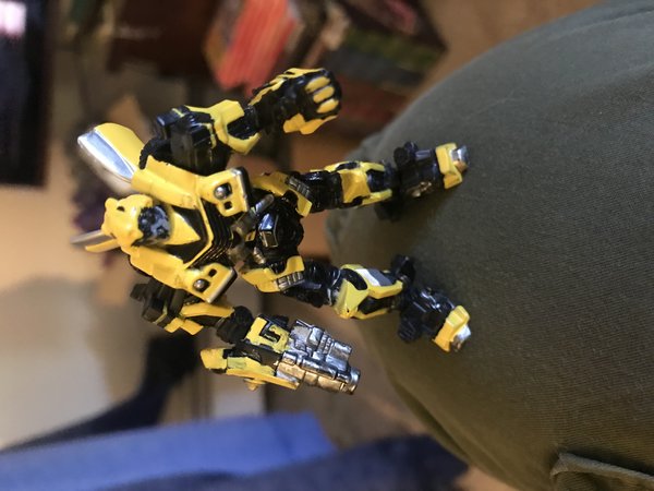 B6B1EB4D-5B6E-4A5C-99FA-208F1B61F0D3.jpeg