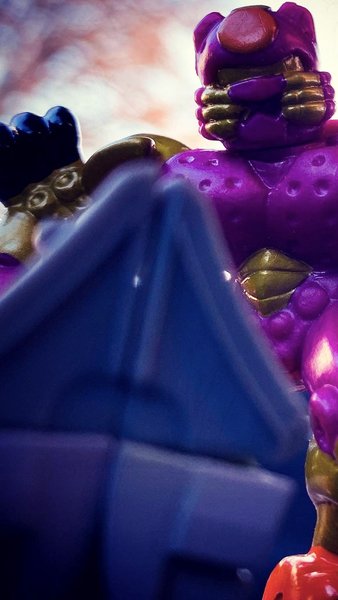 D3C39335-E457-4C0C-8293-720B21AC4593.jpeg