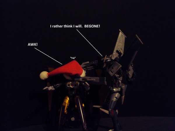 Seibertron Photo Challenge Day 10 (7).JPG
