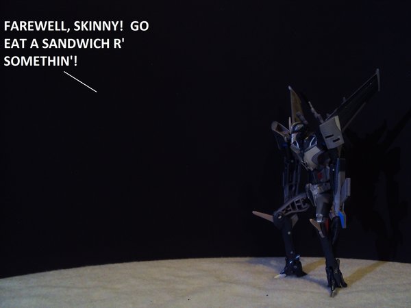 Seibertron Photo Challenge Day 11 (21).JPG