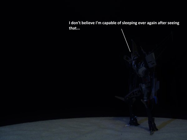 Seibertron Photo Challenge Day 11 (23).JPG