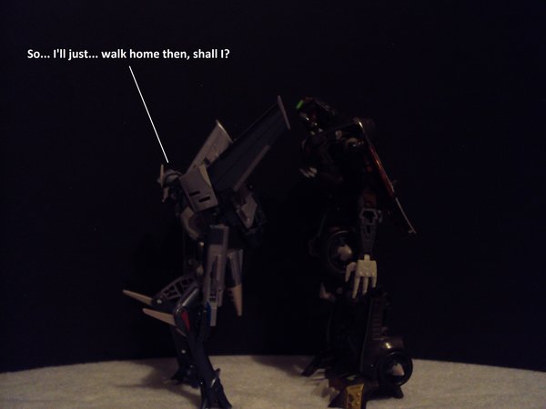Seibertron Photo Challenge Day 12 (1).JPG