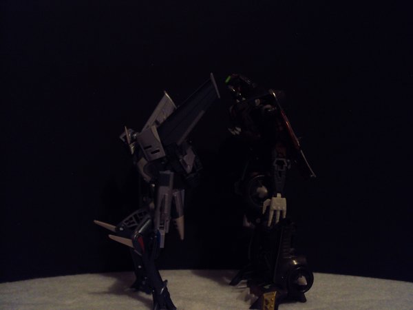 Seibertron Photo Challenge Day 12 (2).JPG