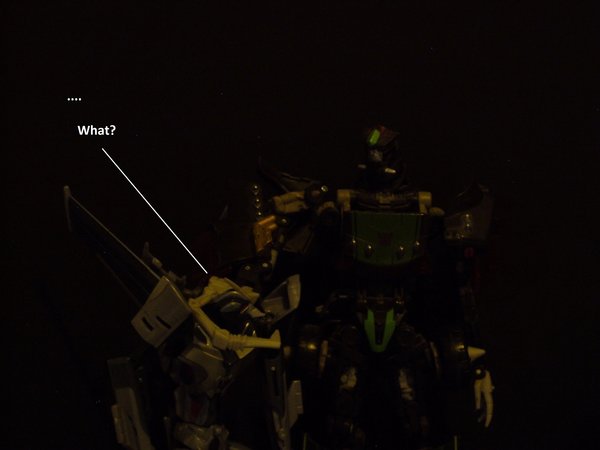 Seibertron Photo Challenge Day 12 (9).JPG