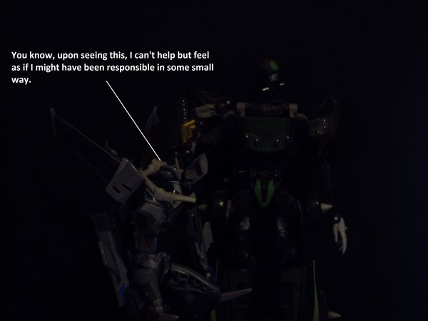 Seibertron Photo Challenge Day 12 (12).JPG