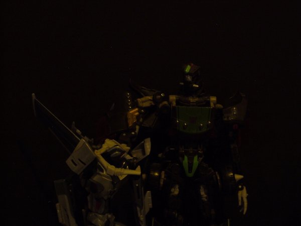 Seibertron Photo Challenge Day 12 (13).JPG