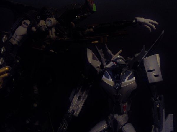 Seibertron Photo Challenge Day 12 (17).JPG