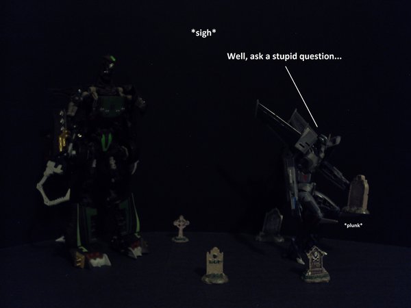 Seibertron Photo Challenge Day 12 (18).JPG