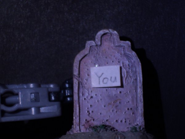 Seibertron Photo Challenge Day 12 (19).JPG