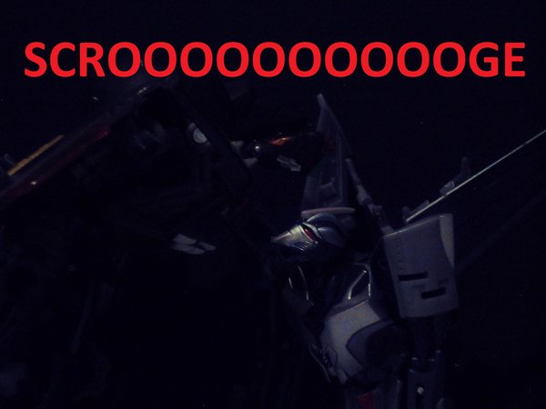 Seibertron Photo Challenge Day 12 (24).JPG
