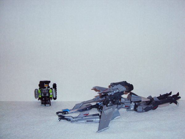 Seibertron Photo Challenge Day 13 (6).JPG