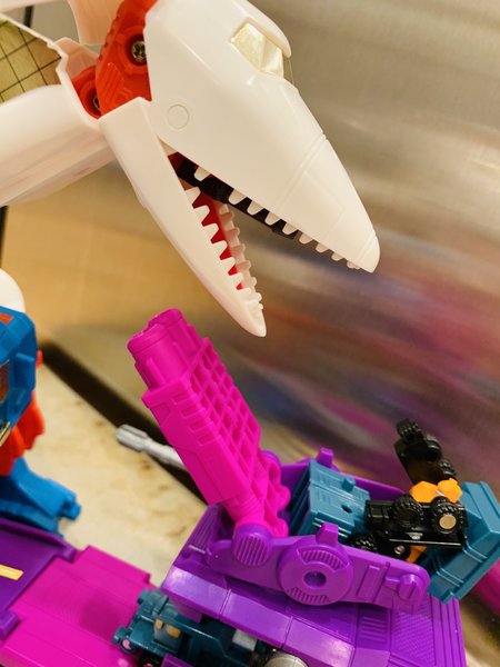 37572C2F-D711-4477-9E85-15B1AAFB1060.jpeg