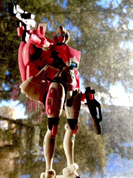 Morning Arcee.jpg