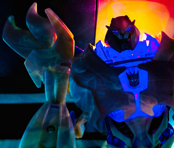 D69671E7-E7B1-43E6-80F8-D515707806B3.jpeg