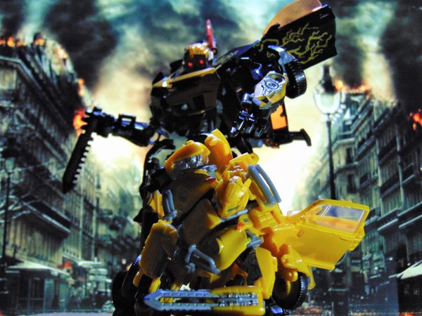 Bee vs Bee.jpg
