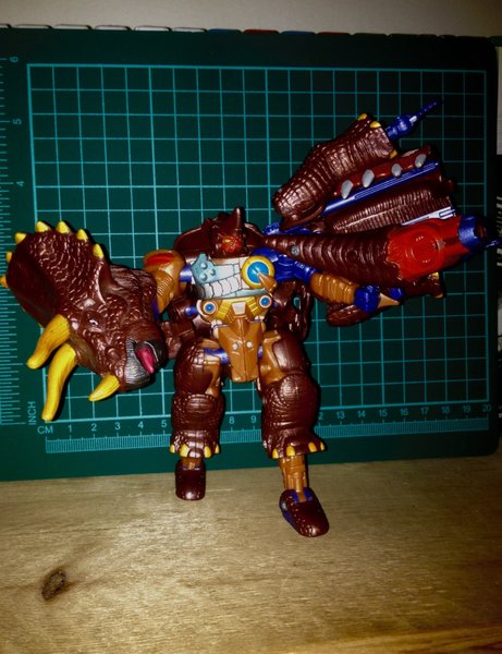 Triceradon 1.jpg