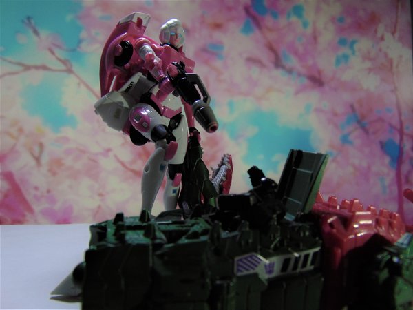 Fresh Kill 3.jpg