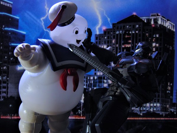 Pacific Puft.jpg