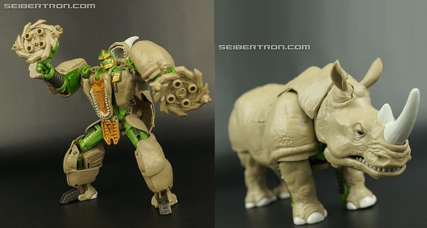 r_rhinox-097.jpg