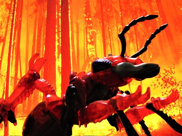 The Fires Of Inferno 1.jpg