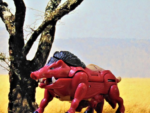 Razorbeast 1.jpg