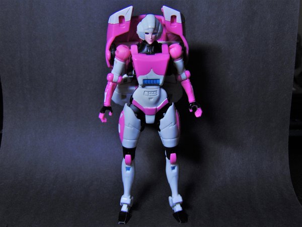 Arcee Reprolabels Before 2.jpg