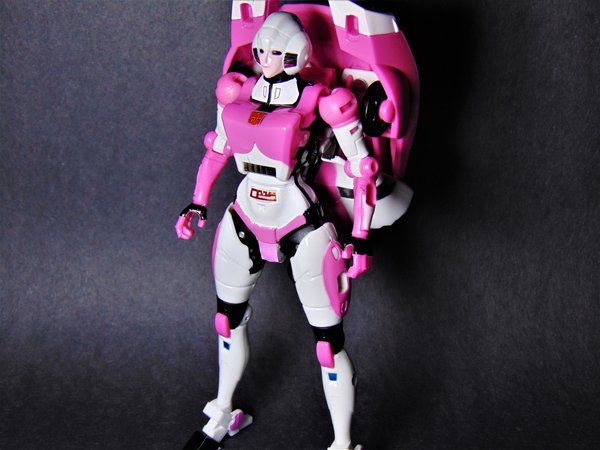 Arcee Reprolabels After 1.jpg