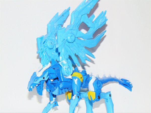 Skystalker 1.jpg