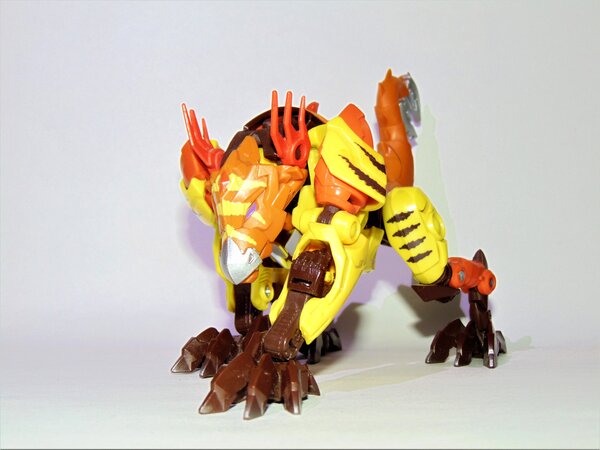Vertebreak (1).jpg