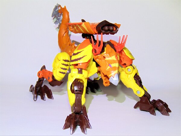 Vertebreak (2).jpg
