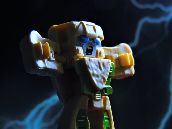 Brock Head (2).jpg