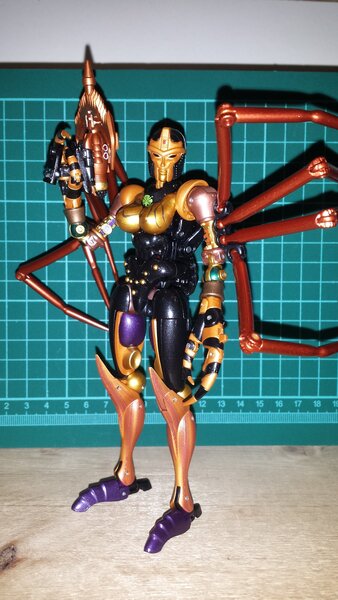 New Blackarachnia 6.jpg