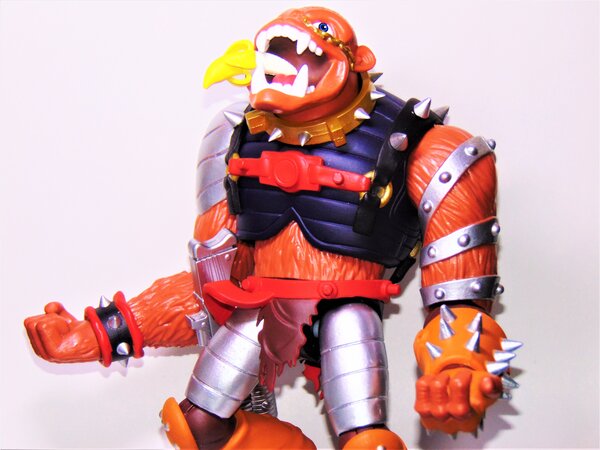 Bucky O Hare (4).JPG