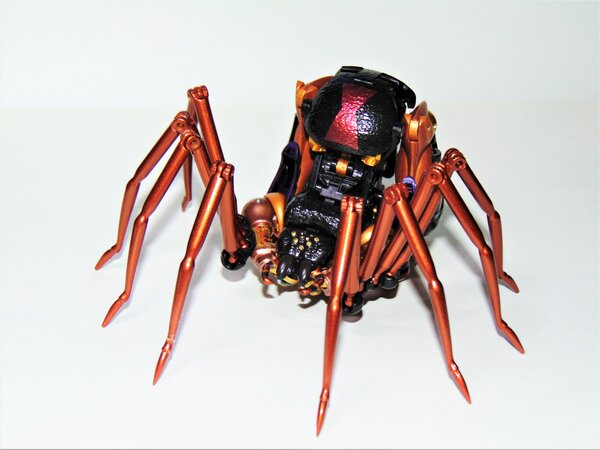 Blackarachnia (5).JPG