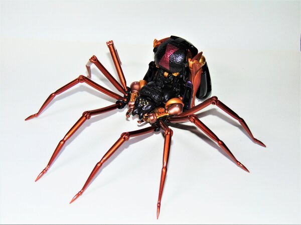 Blackarachnia (4).JPG