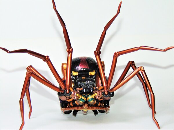 Blackarachnia (3).JPG