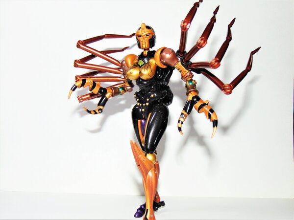 Blackarachnia (7).JPG