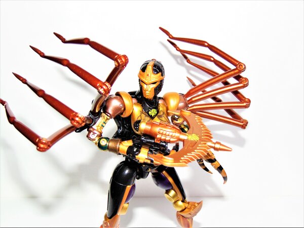 Blackarachnia (8).JPG