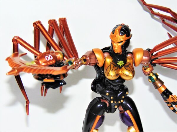 Blackarachnia (9).JPG