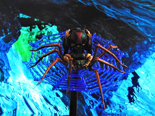 Blackarachnia (1).JPG