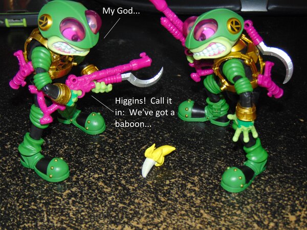 Toads (6).JPG